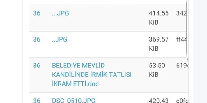 Sıra WikiLeaks belgelerinde