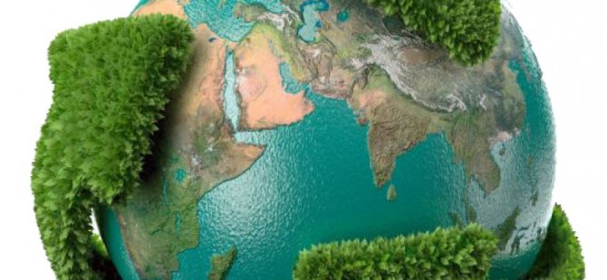 Cengiz Hasmer: Geri Dönüşüm ve Ekonomi