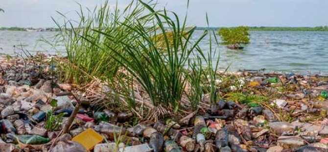 Cengiz Hasmer:  Şehirlerimizin karşılaştıkları çevre sorunları