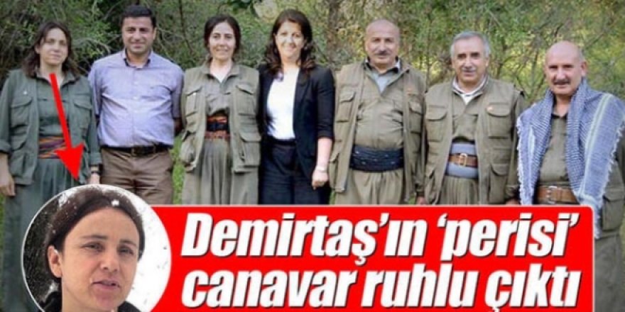 Demirtaş'ın 'perisi' canavar ruhlu çıktı