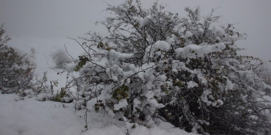 4 İlimizde Okullara Kar Tatili - Yarın okullar tatil mi