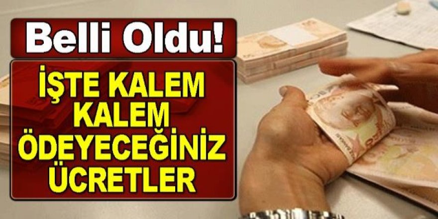 İşte 2017'nin vergi ve harçları