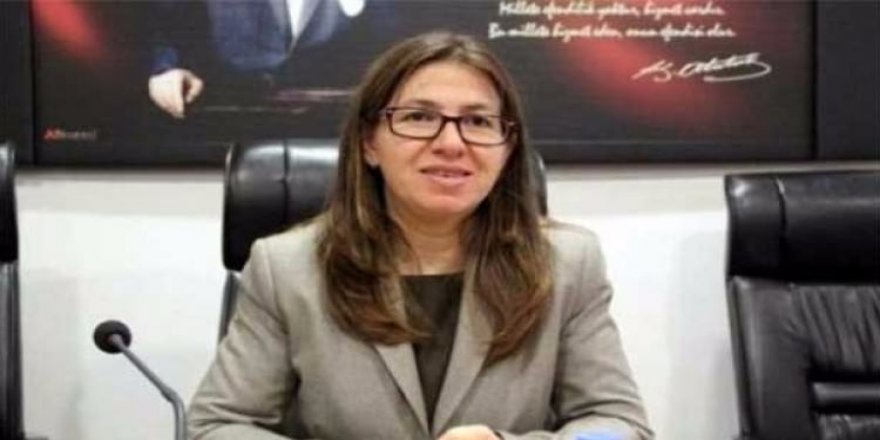 FETÖ'den tutuklanan vali tahliye edildi