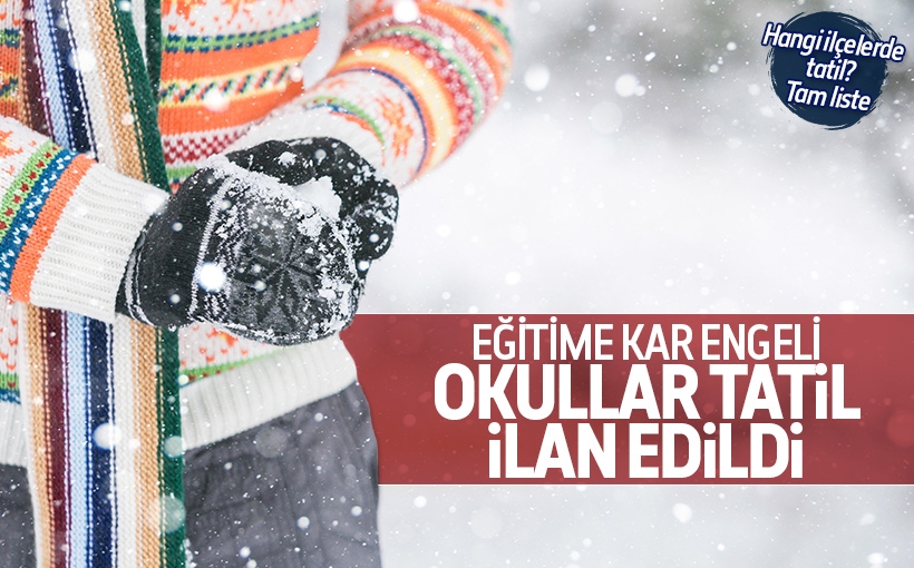 Nerelerde kar tatili var?