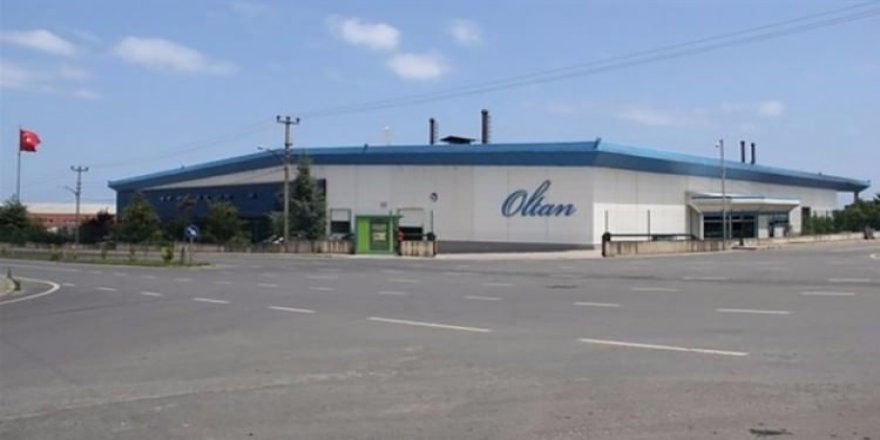 Fındık devine FETÖ operasyonu