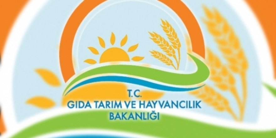 Gıdada hile yapan 96 firmaya ait 150 marka