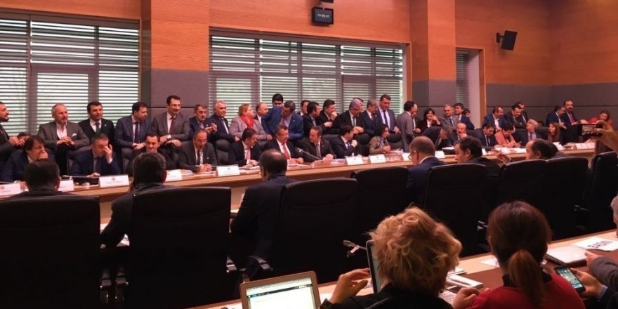 Anayasa Değişikliğinde "Doğuştan Türk" "Türk vatandaşı" oldu