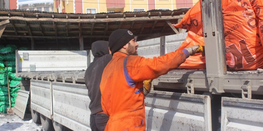 Üniversite öğrencisi kömür taşıyarak okuyor