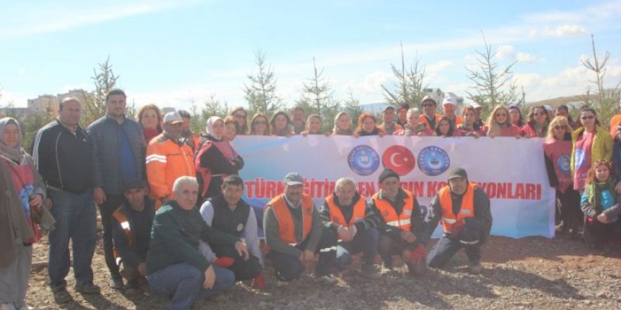 Türk Eğitim-Sen Kadın Komisyonu, Şehitler Hatıra Ormanına Ağaç Dikti