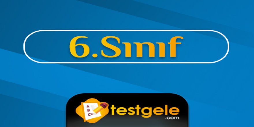 6.Sınıf Testleri