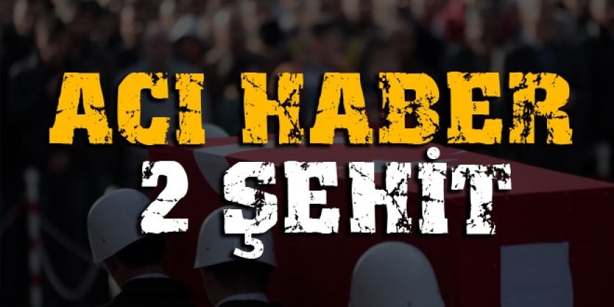 Tendürek'ten acı haber: 2 asker şehit