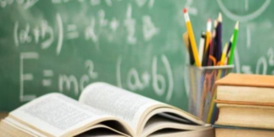 Her 3 tezden 1'i çalıntı çıktı