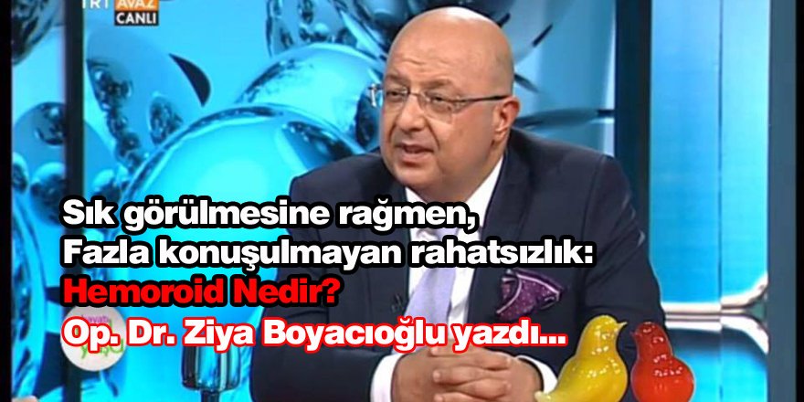 Hemoroid Nedir? Dr. Ziya Boyacıoğlu Yazdı