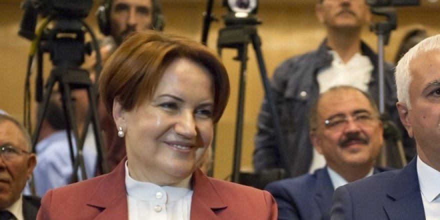 Yeni partide 'bozkurt ve 'Başbuğ' yasağı