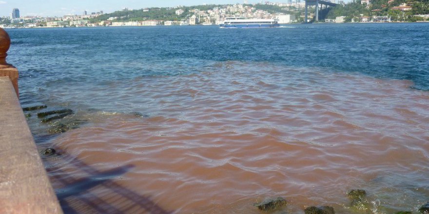 Boğaz kana büründü