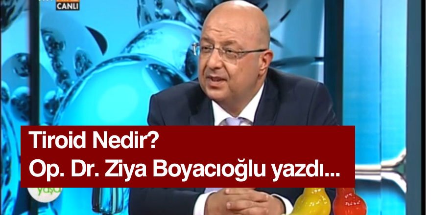 Ziya Boyacıoğlu: Tiroid Hastalıkları Nelerdir?