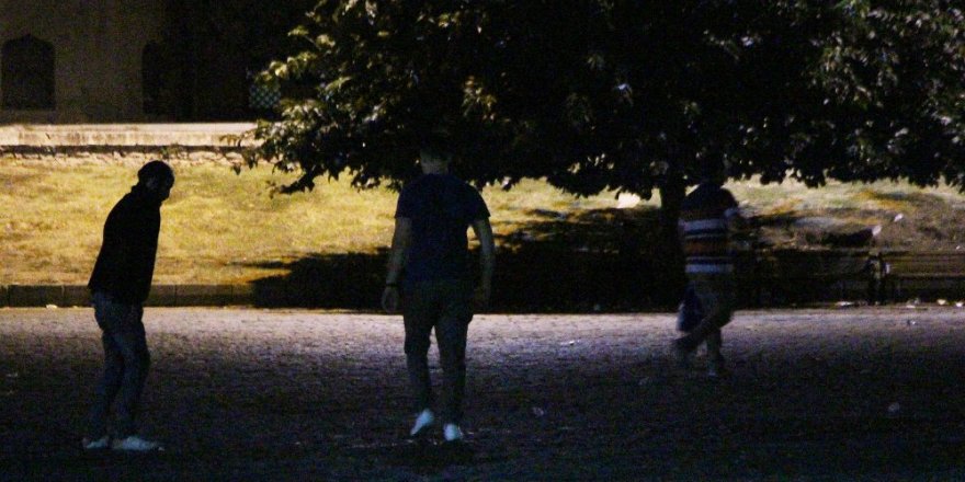 İstanbul Üniversitesi önünde ibretlik ’bonzai’ manzarası