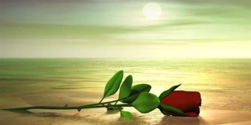 Kutlu doğum haftası değişti