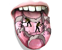 Dilimizin tat haritası değişti