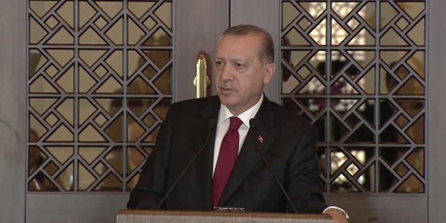 Cumhurbaşkanı Erdoğan: 'Hava sahası kapatılacak nasıl çıkacaksın?'