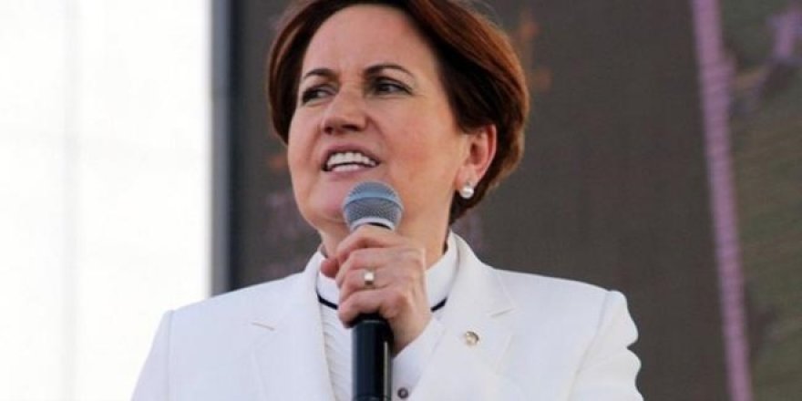 İşte Meral Akşener'in Parti Kurucular Listesi