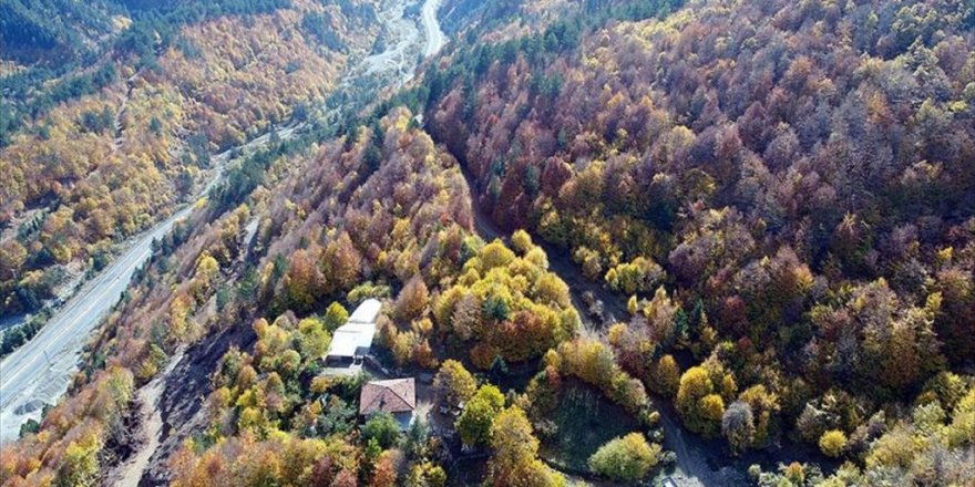 Anadolu'nun 'Yüce Dağı' Ilgaz Rengarenk