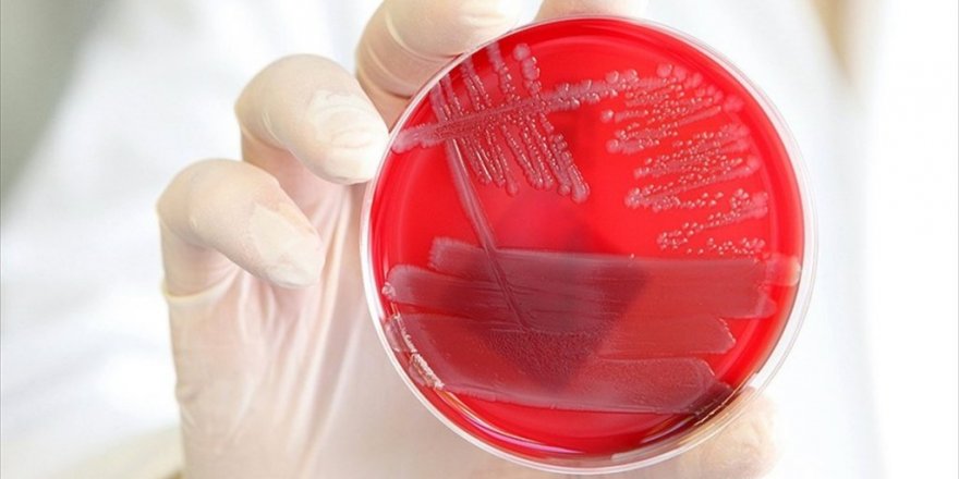 Türkiye'nin Gen Haritasını Çıkaracak Proje Başlıyor