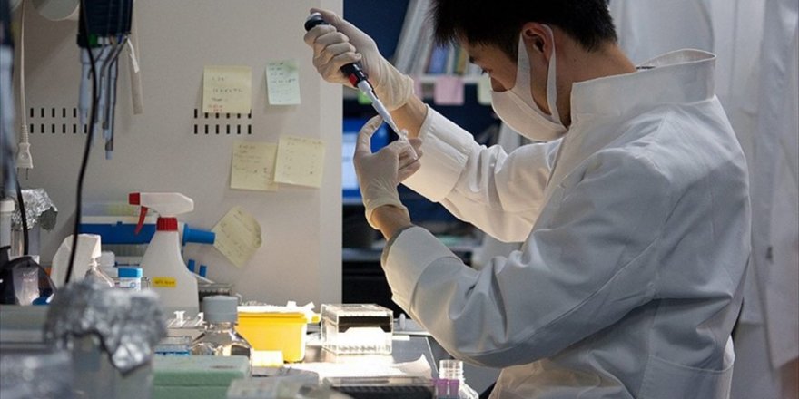 Yapay zeka ile bir saniyeden kısa sürede kanser teşhisi