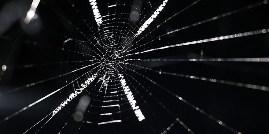 Örümcek ipeğinden hassas işitme cihazı