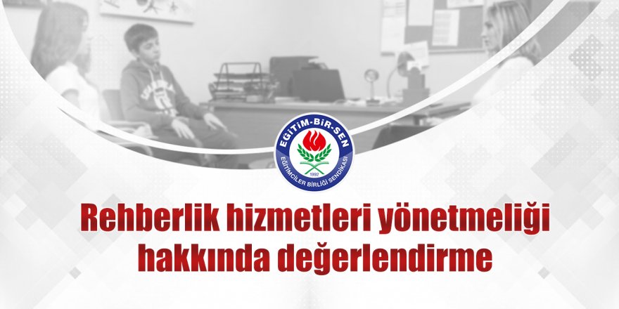 Rehberlik hizmetleri yönetmeliği hakkında değerlendirme