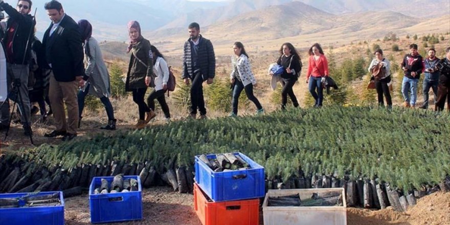 Üniversite öğrencilerinden her ilde her şehit için bir fidan