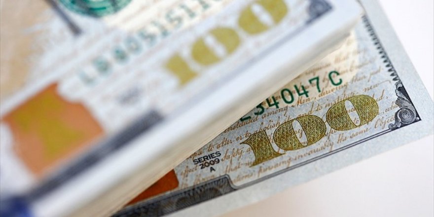 Dolar/TL rekor tazeledi