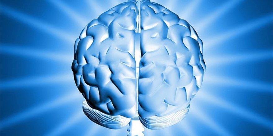 Zeki insanlar daha etkin beyin bağlantılarına sahip