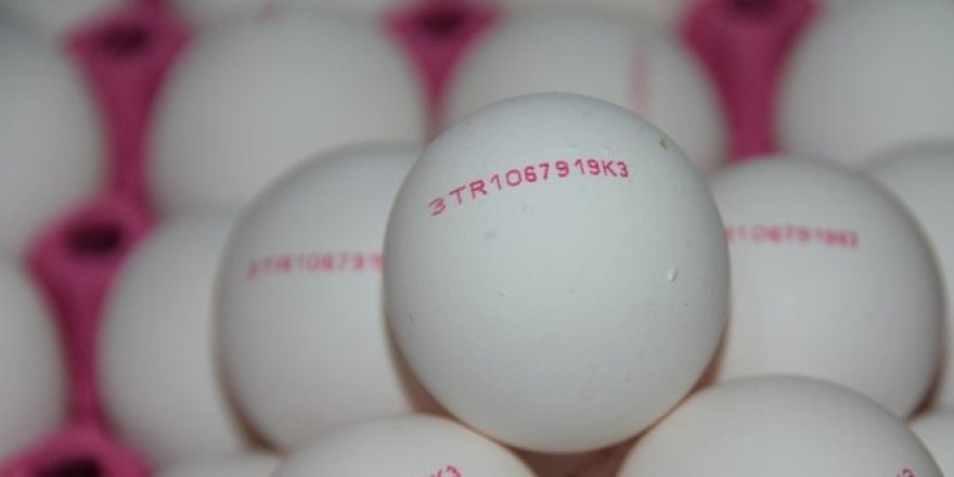 Yumurta'nın üzerindeki numalara dikkat!