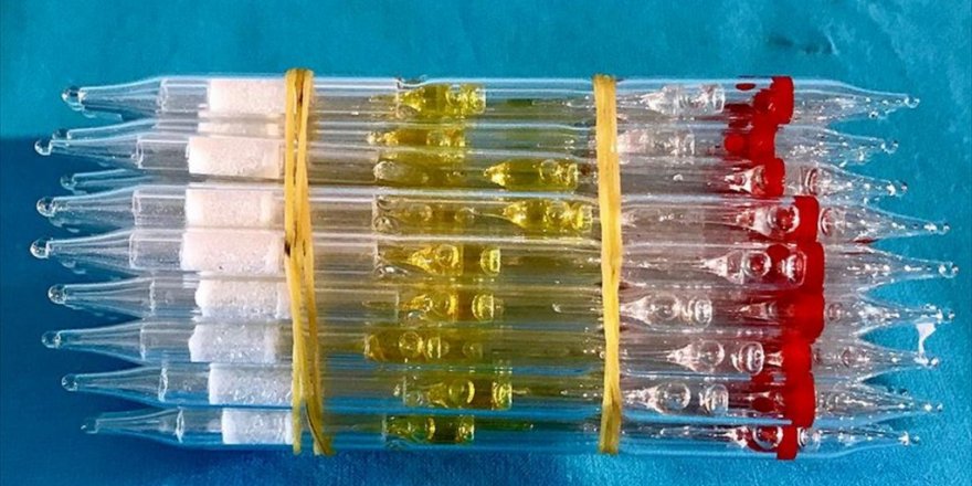 İstanbul'da bin 725 tüp yılan zehri ele geçirildi