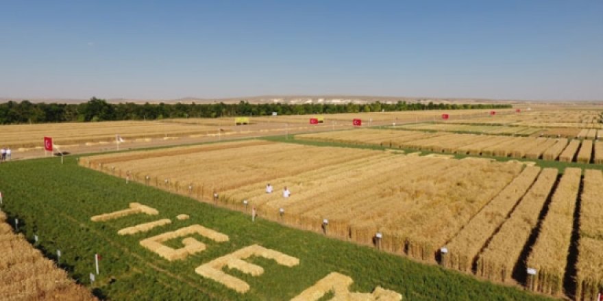 TİGEM'in başına, mucizeler yaratan kaymakam atandı