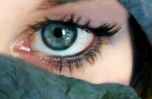 Yaz tatiliniz zehir olmasın