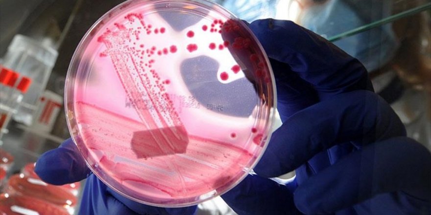 2017'nin dünyayı değiştirecek 10 bilimsel buluşu