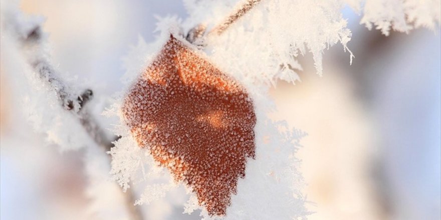 Meteorolojiden 5 il için buzlanma ve don uyarısı