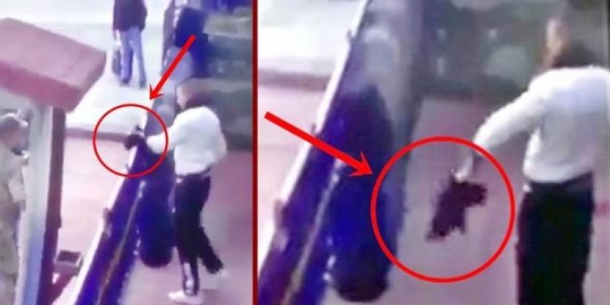 Kediye işkence yapan er, polis yaralamaktan tutuklandı