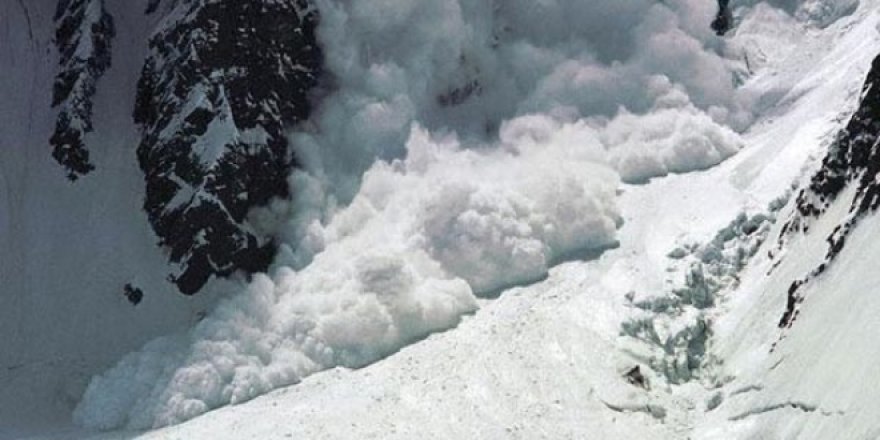Bitlis'te çığ felaketi: 2 şehit, 3 asker kayıp, 7 asker yaralı