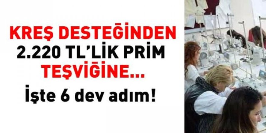 Kreş desteğinden 2.220 TL prim ve vergi teşviki! İşte 6 dev adım