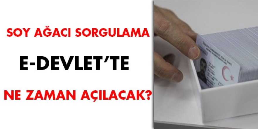 Soy ağacı sorgulama e-devlette ne zaman açılacak?