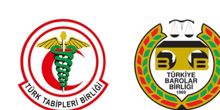 'Türk' kelimesinin kaldırılmasında 'zamanlama' endişesi