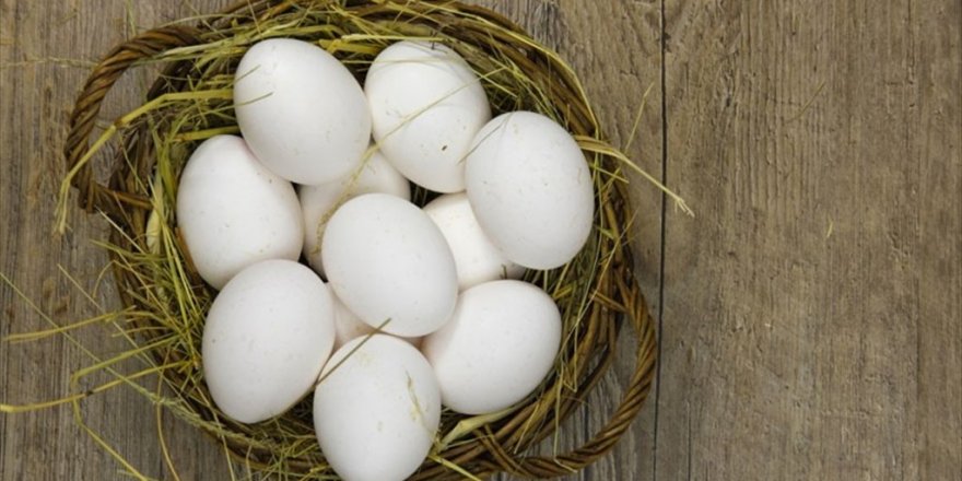 'Yumurta, anne sütünden sonra en önemli protein'