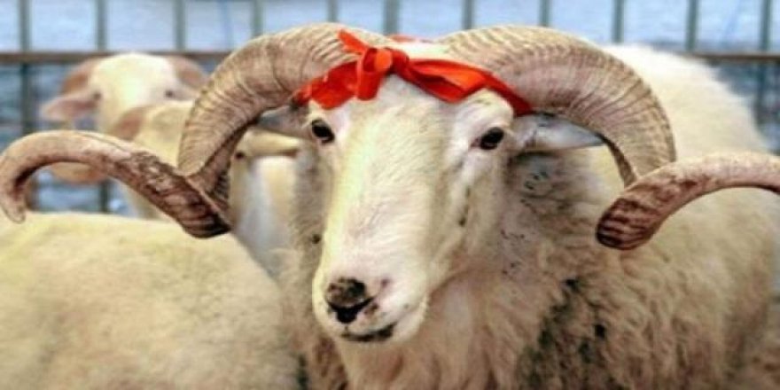 Kurban Bayramı ne zaman?