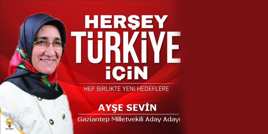 Ayşe Sevin, Gaziantep Milletvekili Aday Adayı Oldu