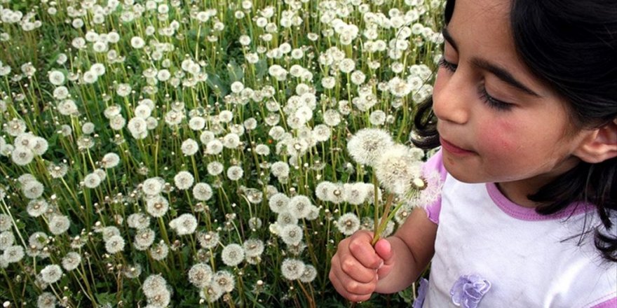 Her 10 çocuktan birinde 'polen alerjisi' görülüyor