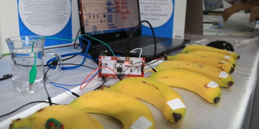 Öğrenciler muzdan piyano yaptı