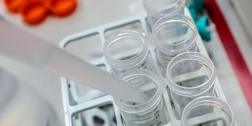 Oruç tutmak, kök hücreleri yeniliyor